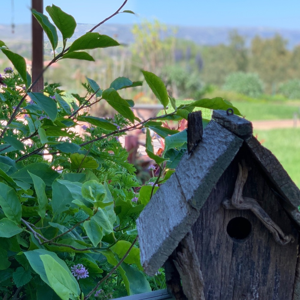 Moving house, I’m sorry I missed you..♥️💐